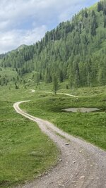 IMG_9410.jpeg