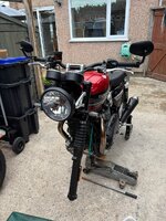 IMG_5996.jpeg IMG_5996.jpeg