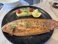 IMG_7659.jpeg