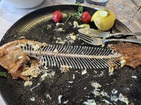 IMG_7660.jpeg