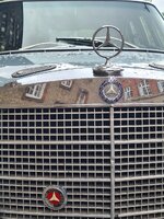 20250627_093901.jpg