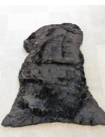 IMG_1709.jpeg