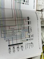 IMG_7585.jpeg