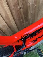 IMG_6781.jpeg