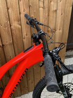 IMG_6778.jpeg