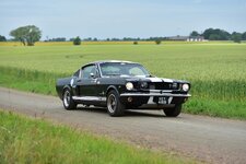 DSC_0131.JPG
