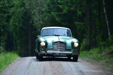 DSC_4449.JPG