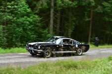 DSC_4518.JPG