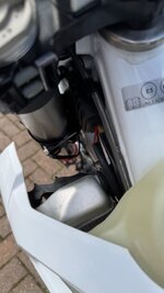 IMG_1710.jpeg