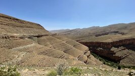 IMG_6600.jpg