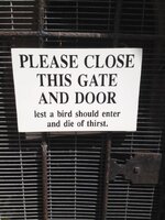 IMG_7999.jpeg