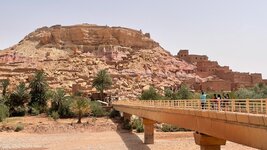 IMG_6672.jpg