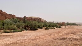 IMG_6675.jpg