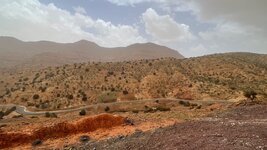 IMG_6731.jpg
