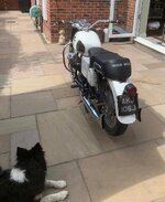 IMG_6171.jpeg