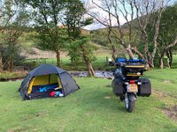 IMG_4777.jpeg IMG_4777.jpeg