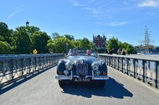 DSC_5021.jpg