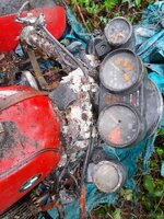 15354D78-1BF7-4E5D-B866-43F8E103D995.jpeg