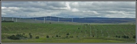 030725-5.jpg