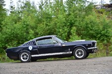 DSC_5429.JPG