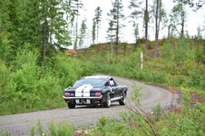 DSC_5434.JPG
