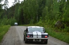 DSC_5478.JPG
