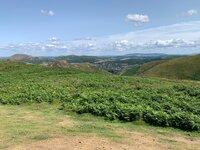 IMG_7536.jpeg