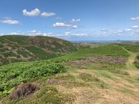 IMG_7537.jpeg