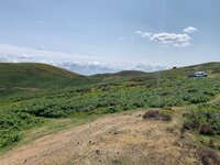 IMG_7538.jpeg