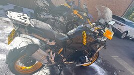 IMG_1515.jpeg IMG_1515.jpeg