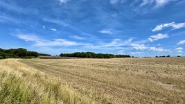 IMG_7002.jpeg