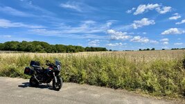 IMG_7006.jpeg
