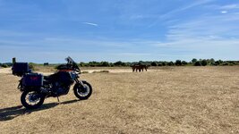 IMG_7008.jpeg