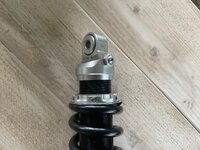 IMG_2716.jpeg