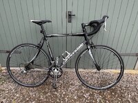 IMG_0162.jpeg
