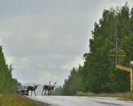 DSC_5866.jpg