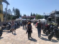 IMG_4967.jpeg IMG_4967.jpeg