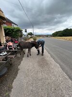 IMG_0748.jpeg