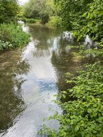 IMG_0751.jpeg