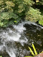 IMG_0752.jpeg