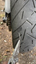 IMG_7059.jpeg