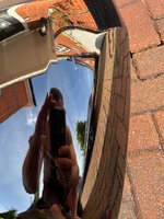 IMG_3641.jpeg