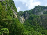 IMG_8541.jpeg