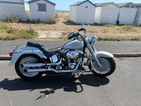 IMG_2495.jpeg
