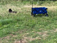 IMG_2419.jpeg