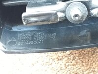 IMG_0895.jpeg