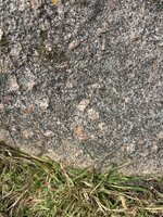 IMG_3759.jpeg