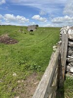 IMG_3772.jpeg