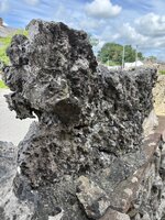 IMG_3770.jpeg