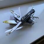 IMG_7581.jpeg